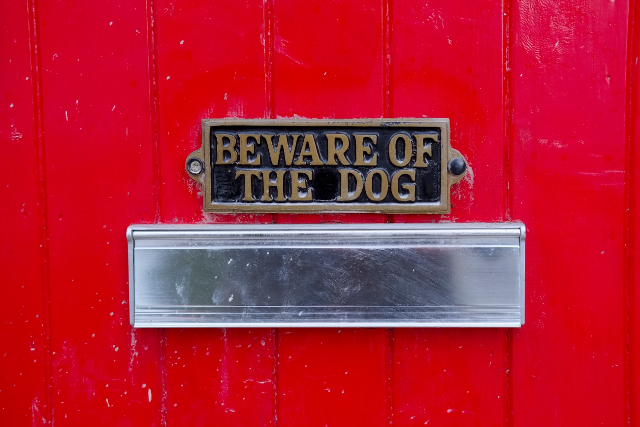 Dog sign on mail box