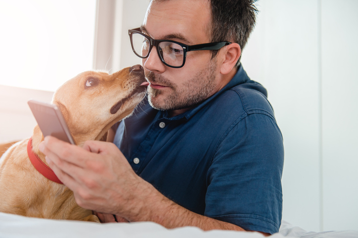 A man laying on a bed using his mobile phone as a dog licks his face