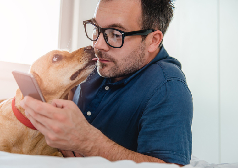 a dog sniffing a man's face