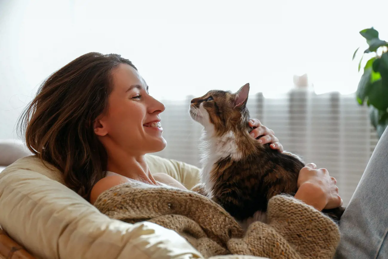 Cat and woman playing together on sofa