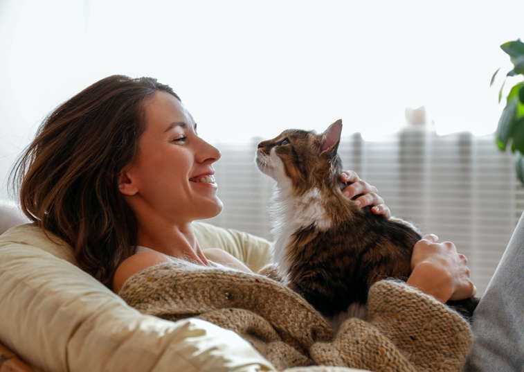 Cat and woman playing together on sofa