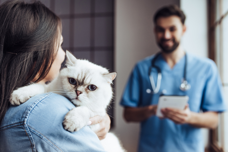 A vet owner holding their cat as they walk towards a vet