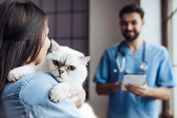 Vet owner holding cat