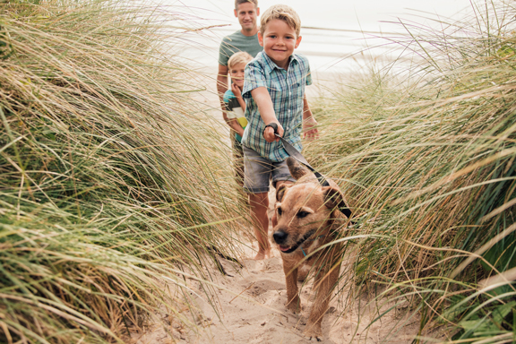 A family walking their dog through the dunes of a sandy beach