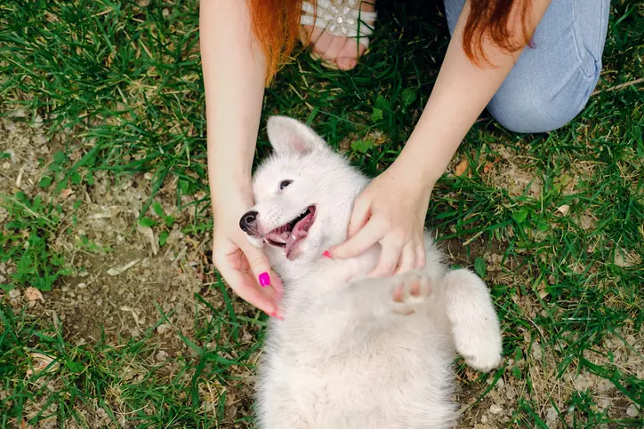 A woman hugging a fluffy dog in a field with trees in the distance