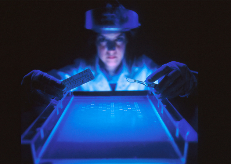 A scientist working in a dark laboratory to profile DNA