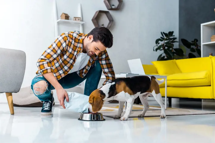 Owner feeding dog