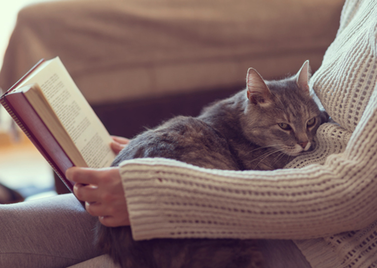 A woman reading a book on her sofa with a cat on her lap