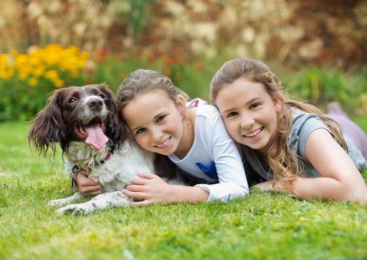 Children and dog