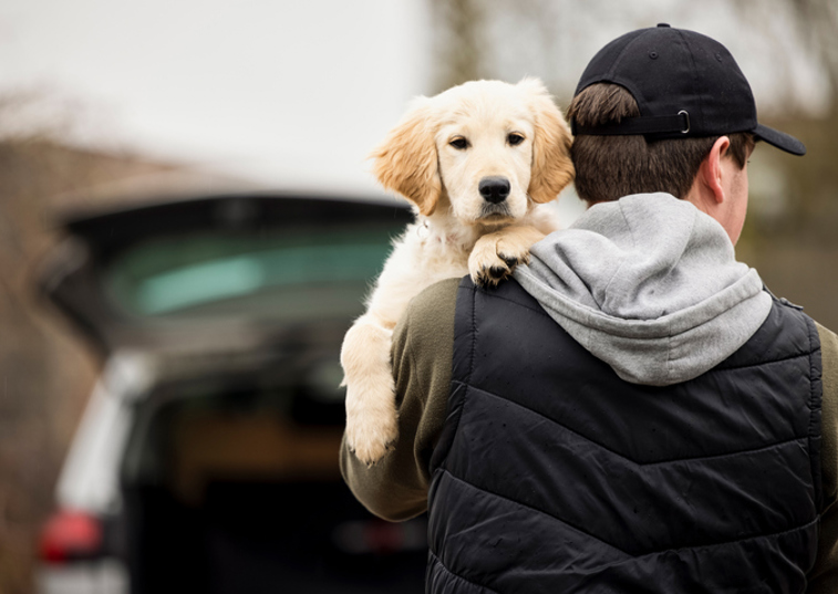 man holding dog