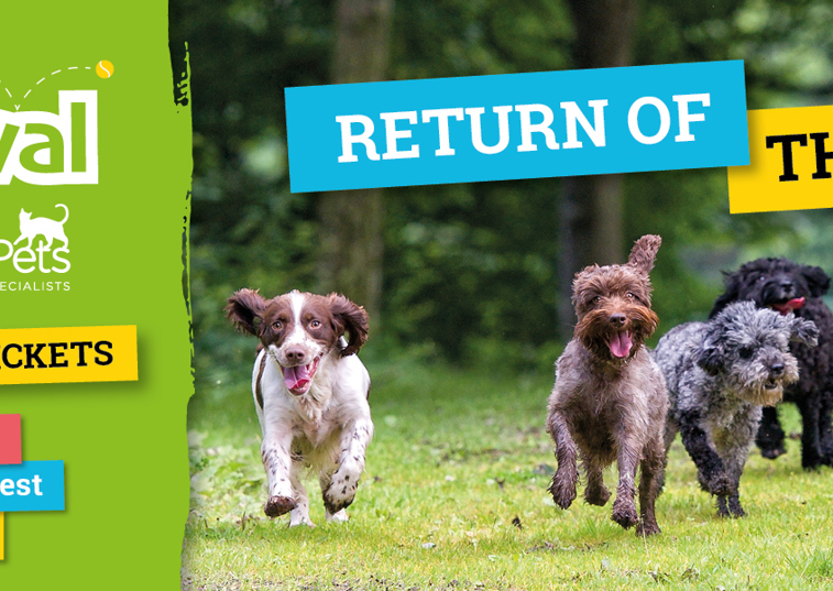 RETURN OF THE PACK - DOGSTIVAL 2020, THE ONLY GUEST LIST YOUR DOG WANTS TO BE ON!