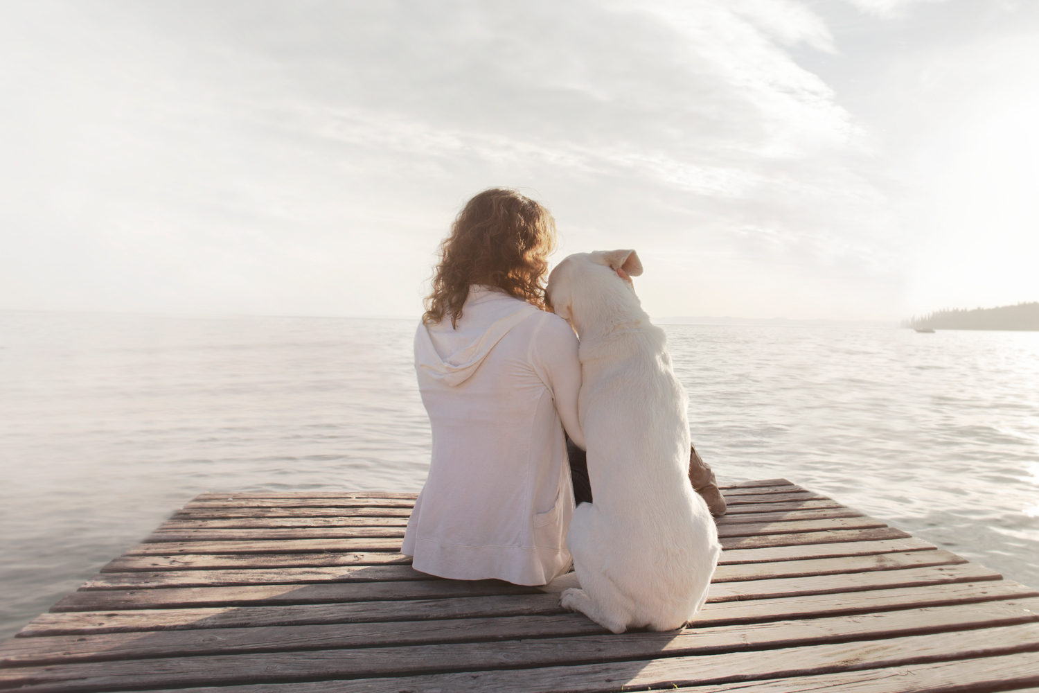 Women sitting on jetty looking out to sea with her dog leaning on her side