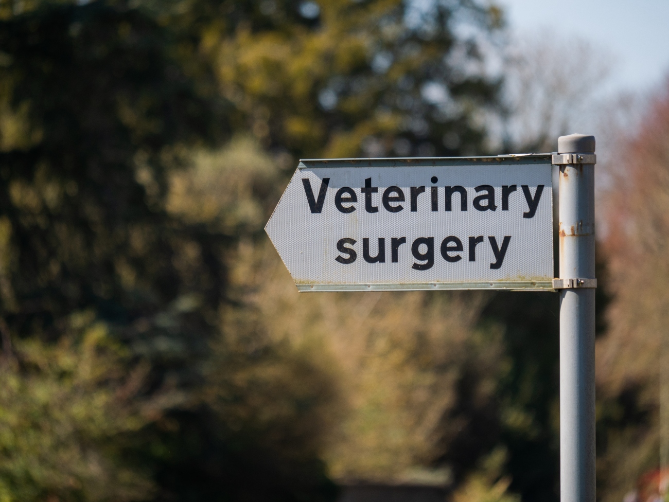 A sign pointing to a veterinary surgery