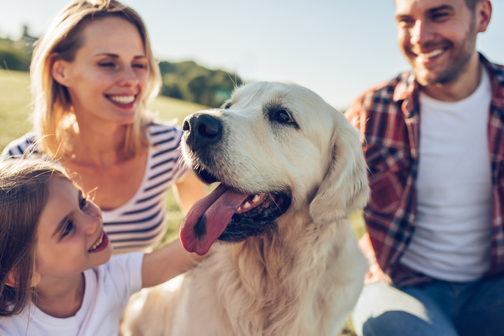 Happy family around panting dog giving it attention